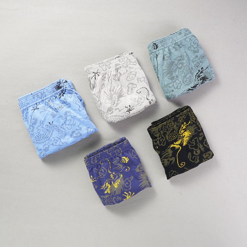 10 Pcs/Lot 100% Cotton Men's P - Multi Pack Underwear review and price